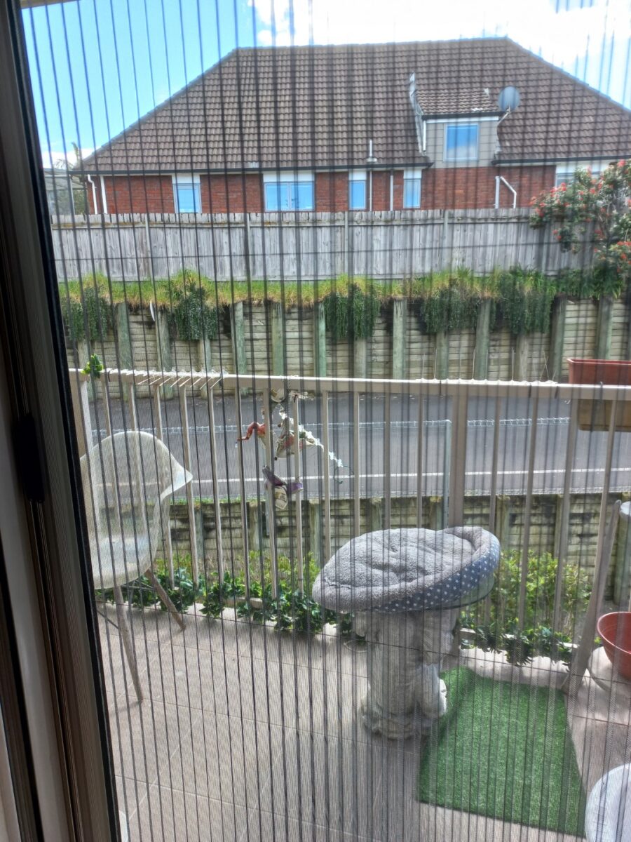 insect screens